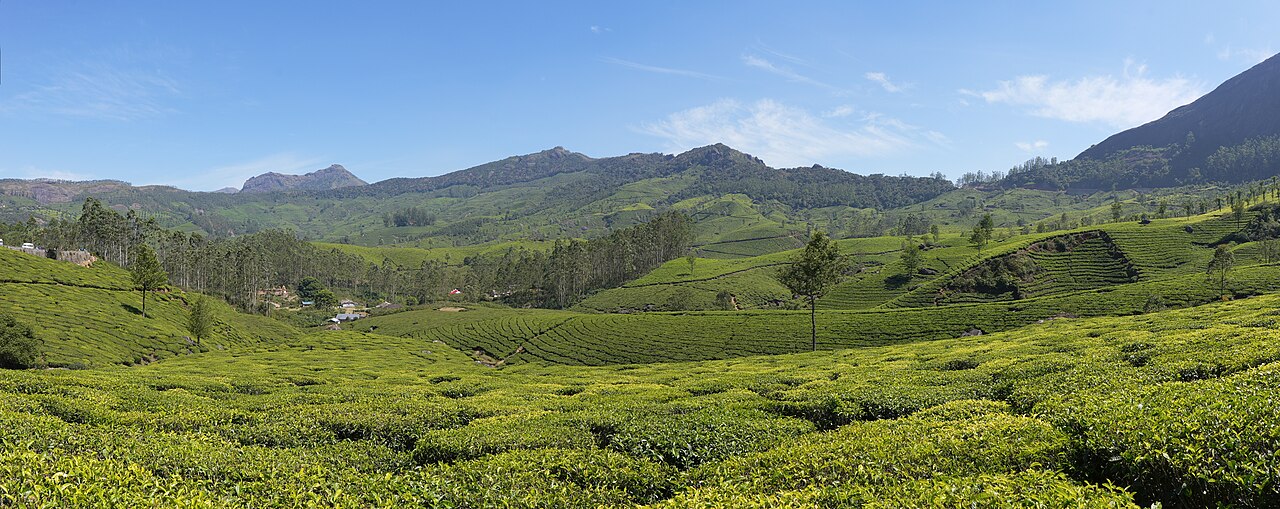 Kerala Premium Experience